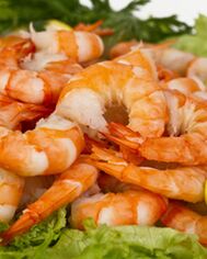 Udang